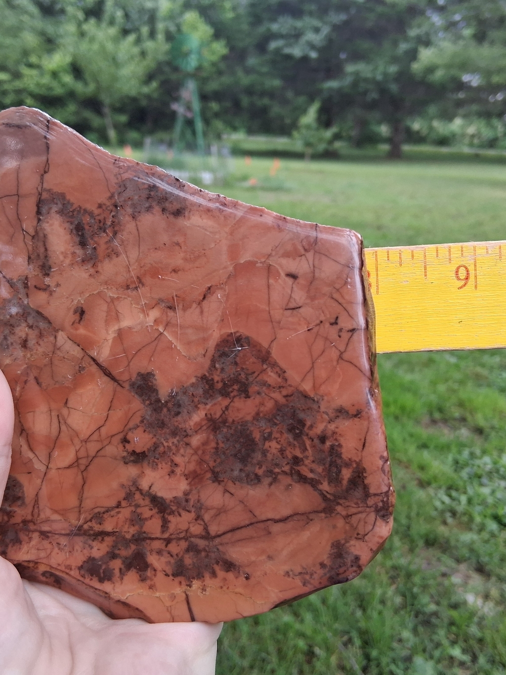 Kona Dolomite Polished Slab Display 8.5" Stone Rock Specimen Michigan - Picture 9 of 10